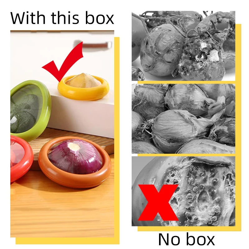 Box for Fruits and Vegetables Transparent Reusable